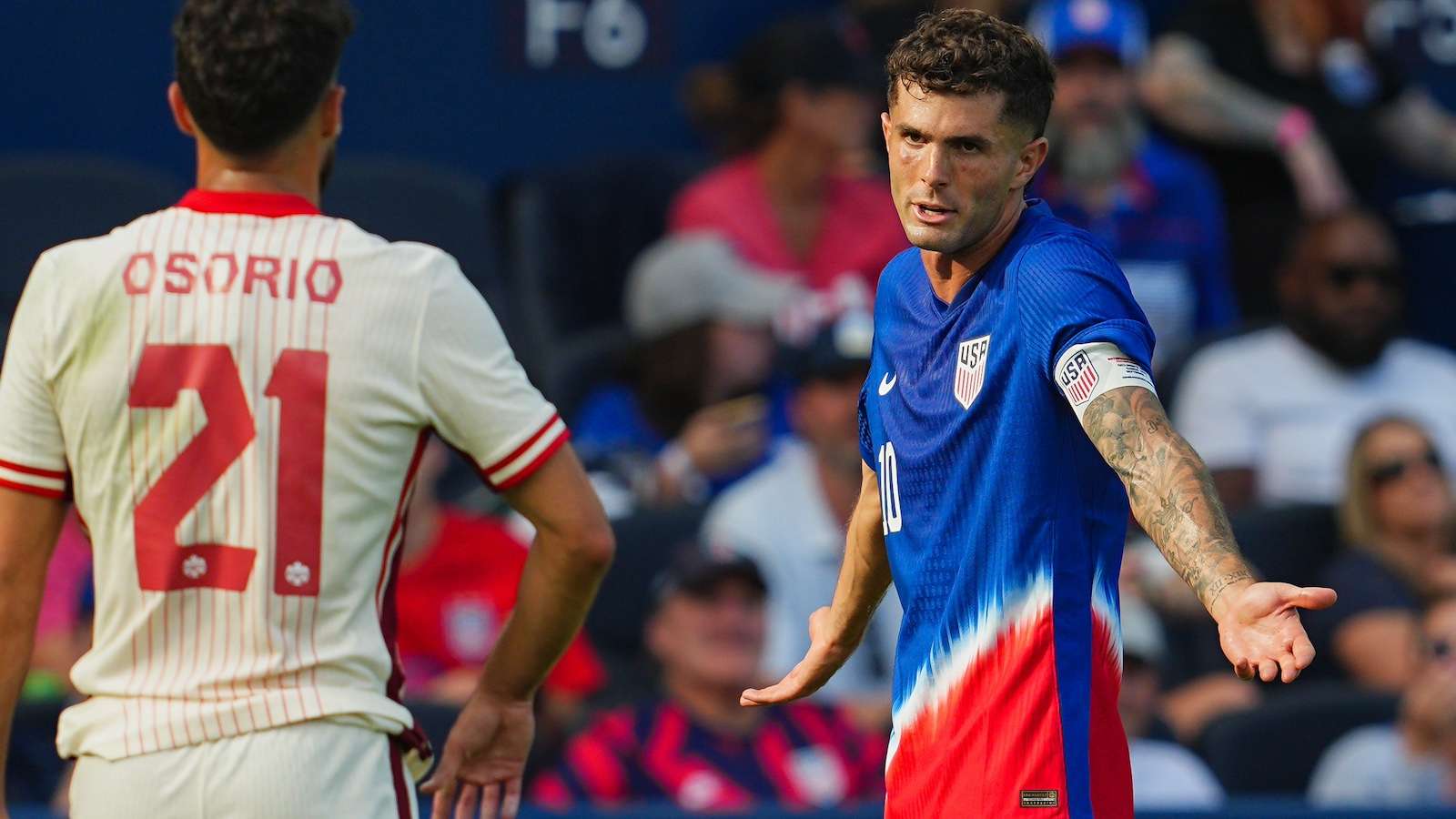 的整体表现 的整体表现