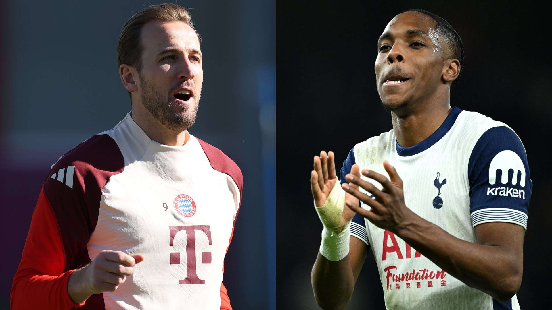 球迷和教练 球迷和教练