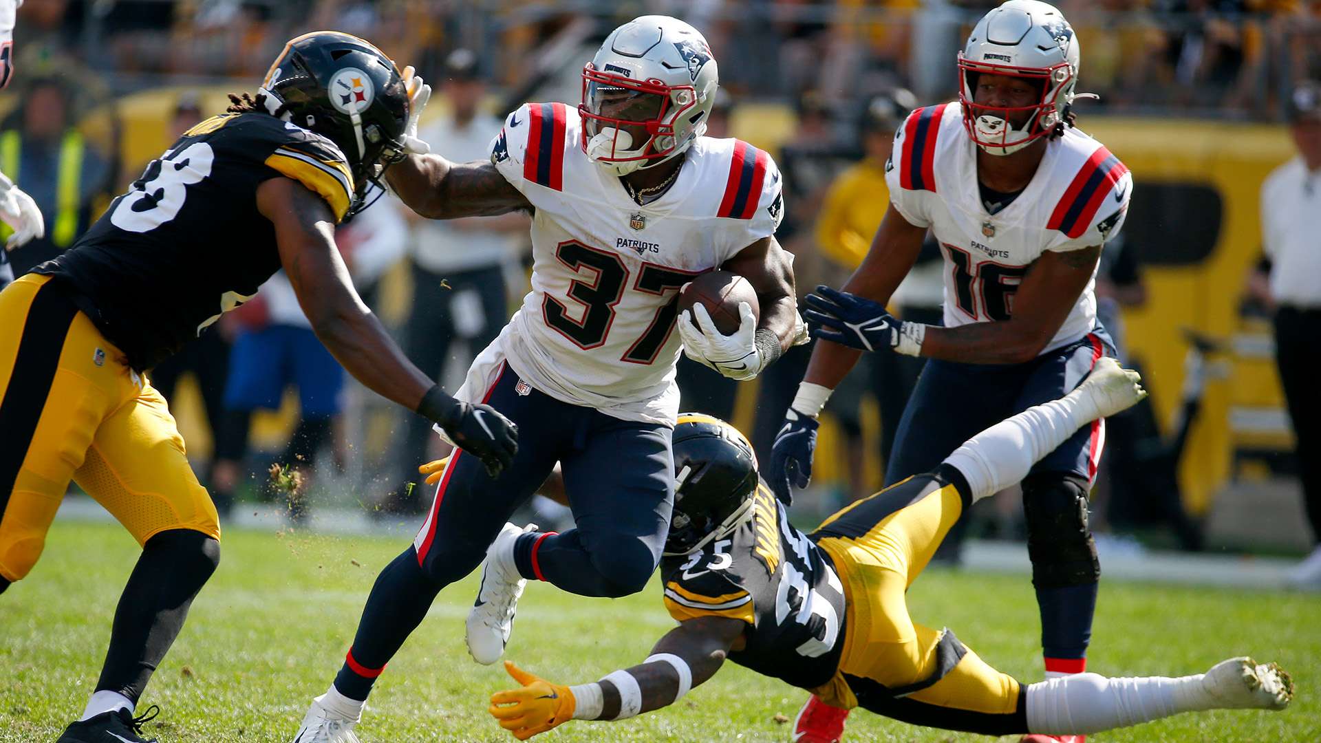 洲冰雪运动 洲冰雪运动